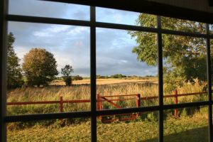 407358_368297236513831_288349079_n